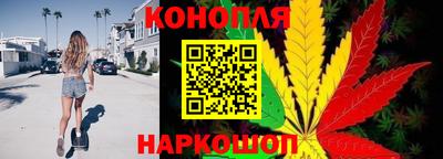 ГАЛЛЮЦИНОГЕННЫЕ ГРИБЫ Пугачёв