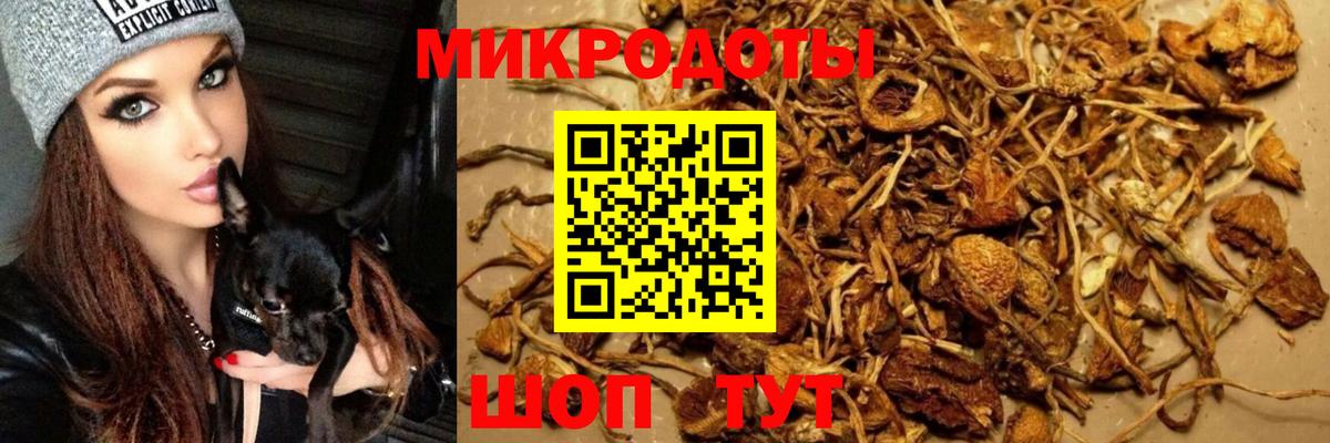 Нягань  Галлюциногенные грибы прущие грибы  Вход с VPN 