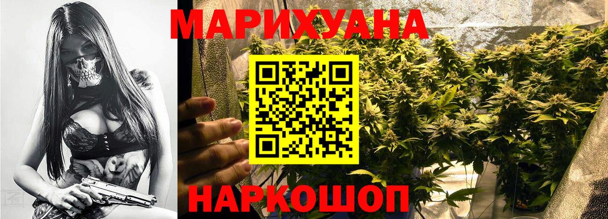 Каннабис индика Нягань